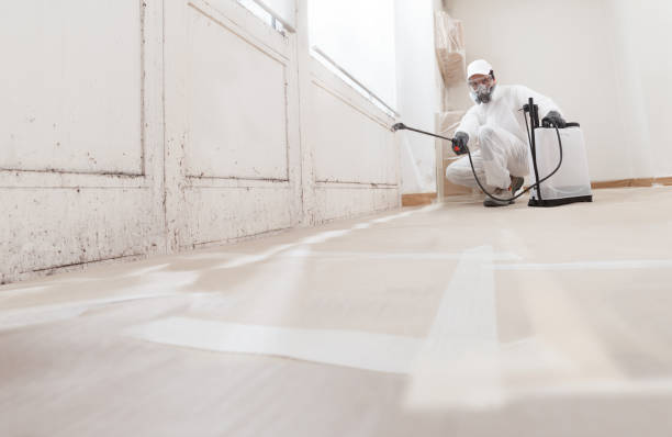 24/7 Emergency Mold Remediation experts in Ramsey, MN