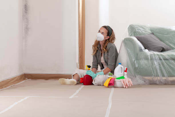 Reliable Mold Remediation contractor in Ramsey, MN by 24 Hour Mold Removal